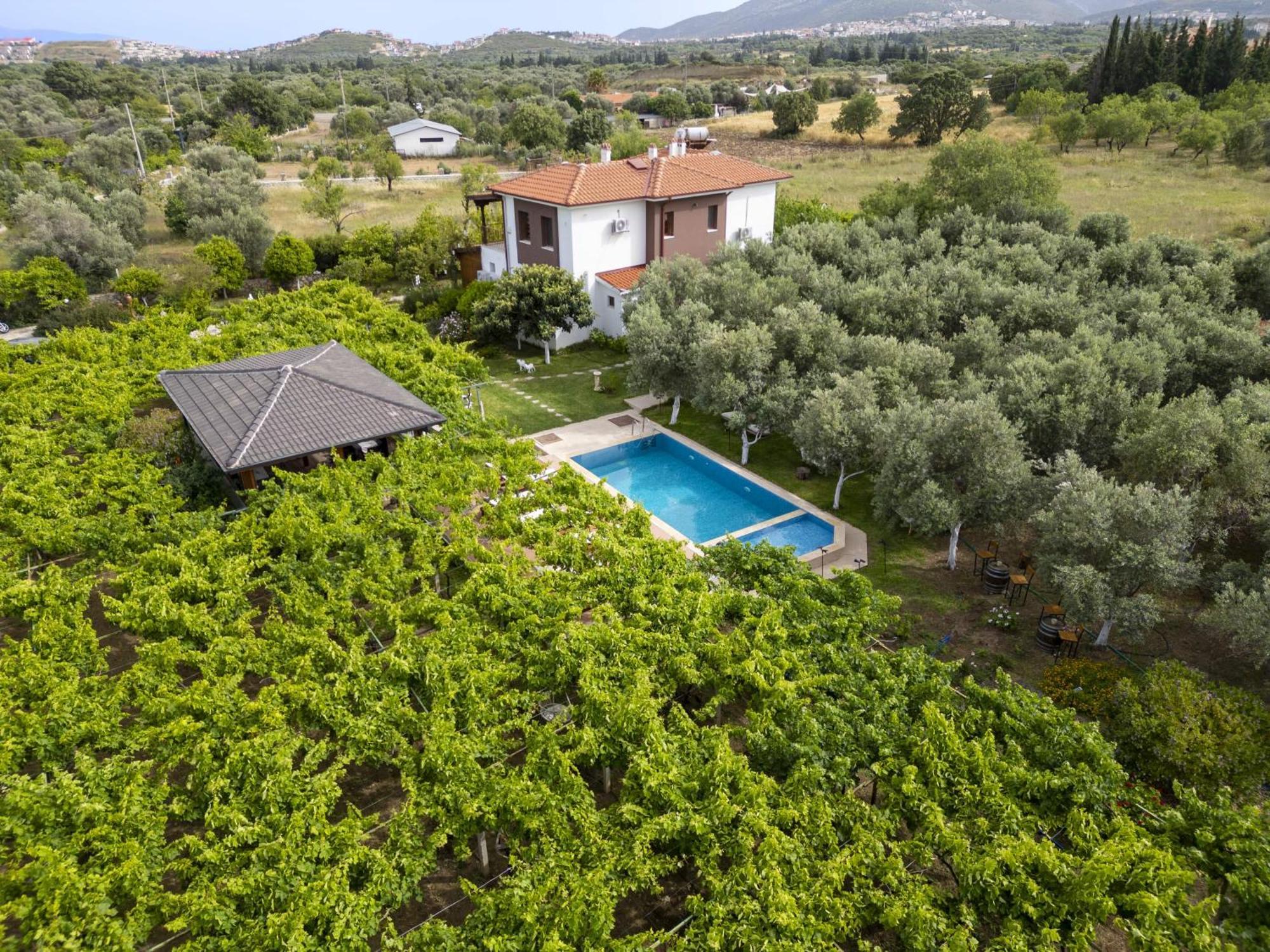 Grape Datca Otel Kızlanköy Dış mekan fotoğraf