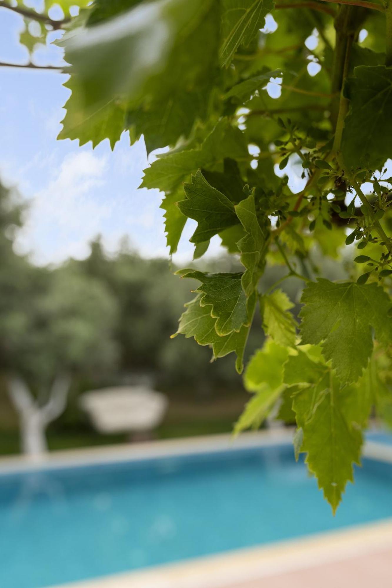 Grape Datca Otel Kızlanköy Dış mekan fotoğraf